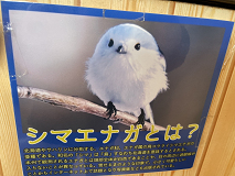 ̉wuǂ݂ӂv